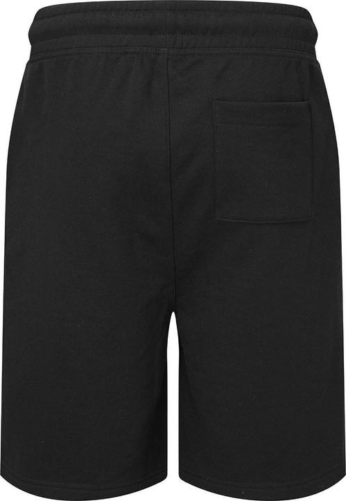 Actual product image Tri Dri Sweatshorts (3XL)