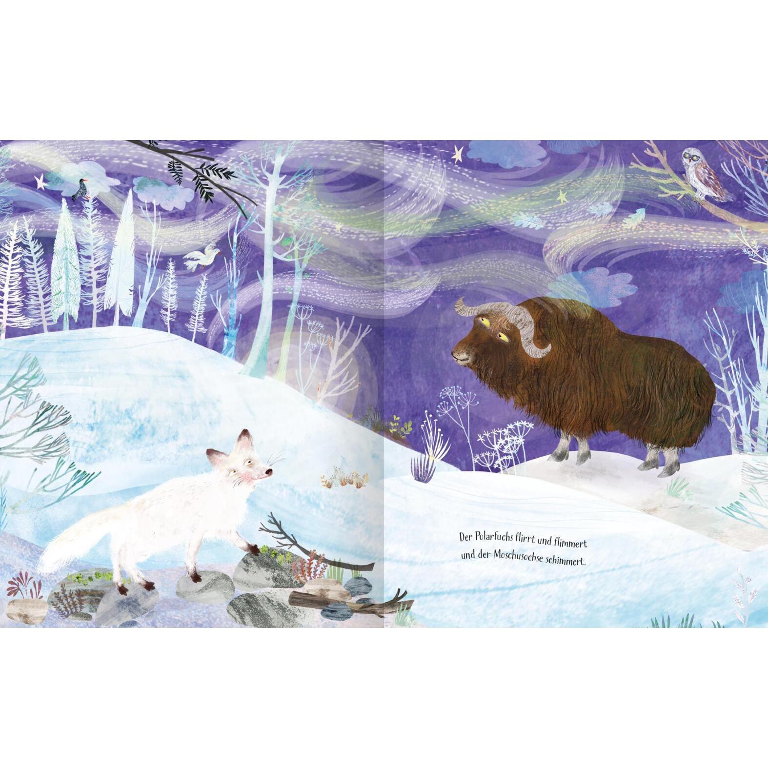 Thumbnail - Das Nordlichtwunder, Kinderbücher von Yuval Zommer