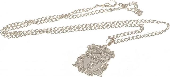 Score Draw Halskette Mit Anhänger Versilbert (Versilbert)