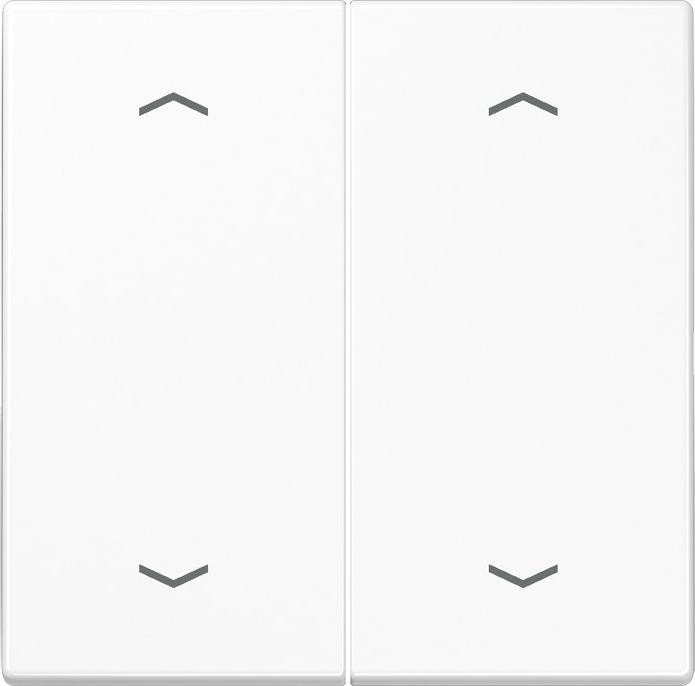 Actual product image JUNG Rocker symbols aws for push-button 2-fold LS 995 MP WW