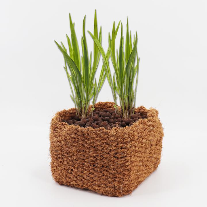 Produktbild Aquagart 7 Kokos Panzkorb 25 x 25 x 20cm Teichkorb für Ufermatte & Böschungsmatte (25 cm)