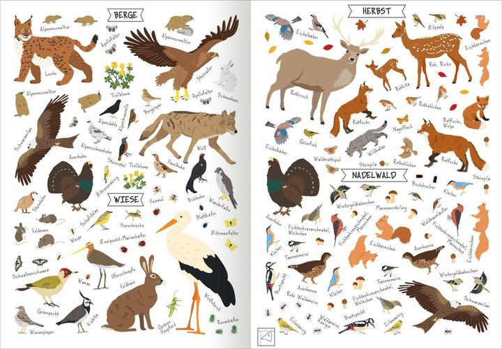 Produktbild Naturforscher-Kids – Stickerheft Heimische Tierwelt (300 Sticker)