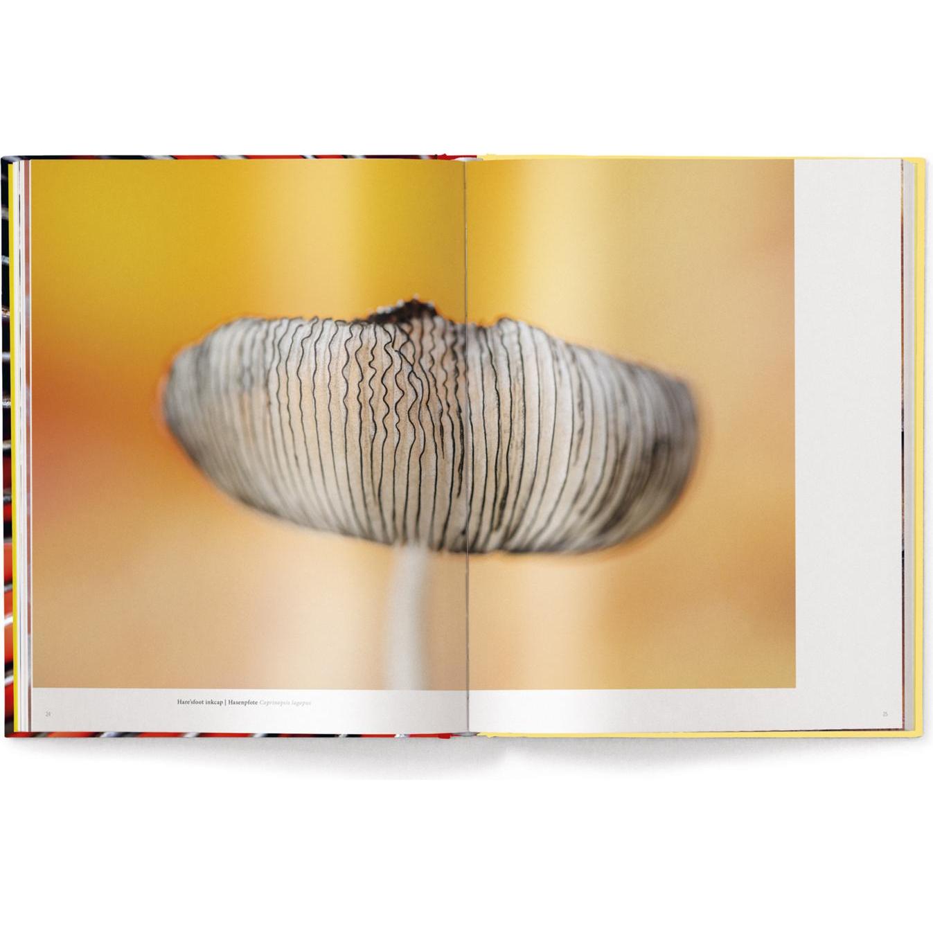 Thumbnail - Wonderland, Sachbücher von Jan Vermeer