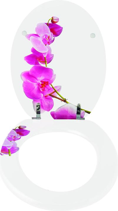 Image du produit MSV Lanyu