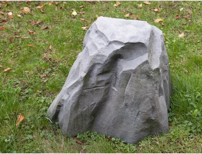 Image du produit Europalms Celtic (59 cm)