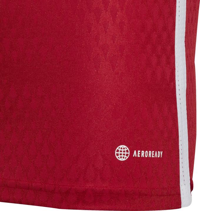 Produktbild adidas Tiro 23 Club Trikot Kinder (164)