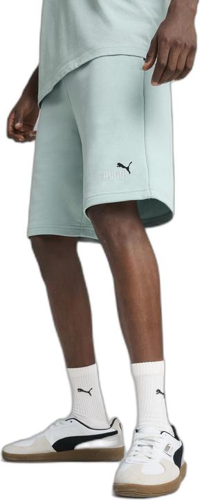 Image du produit Puma ESS 2 COLOR No. 1 Logo Shorts 10" TR (XL)