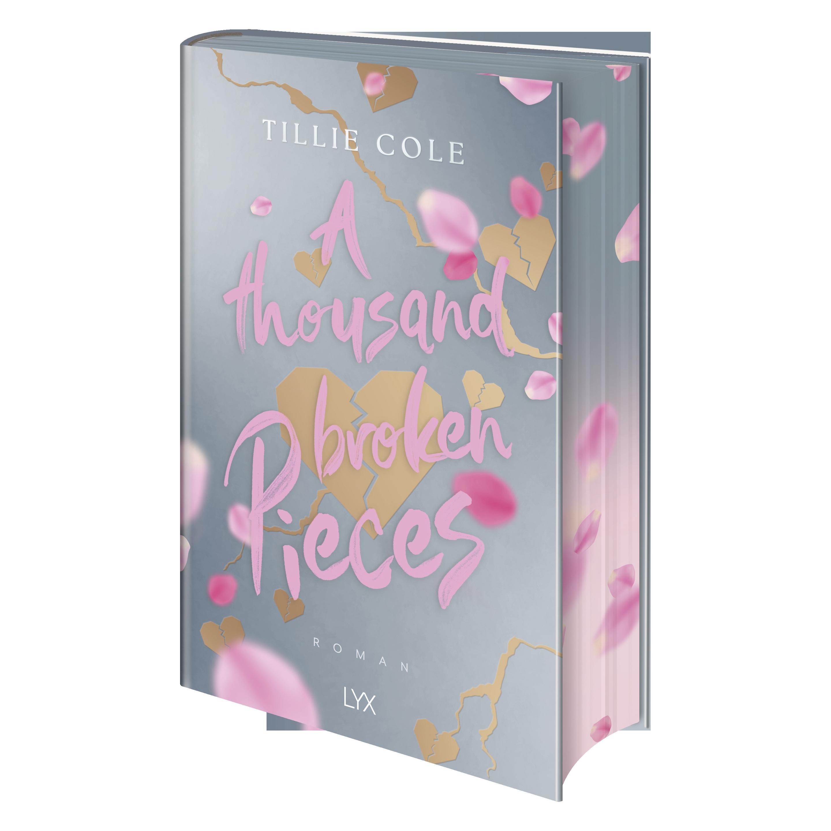 A Thousand Broken Pieces, Special Edition