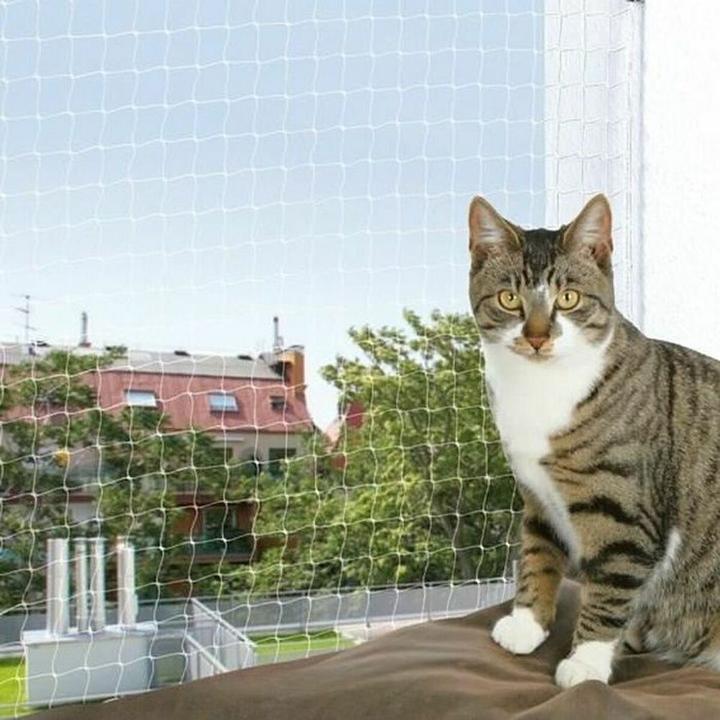 Actual product image Trixie Safety net