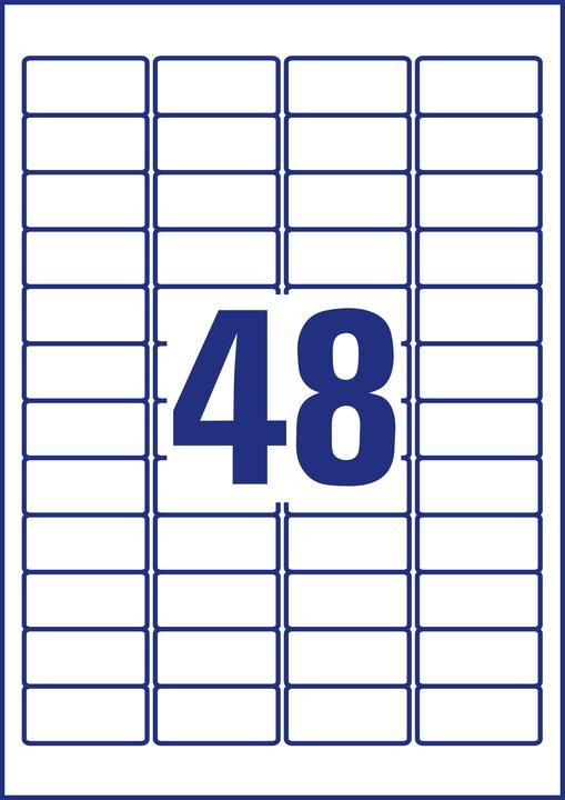 Actual product image Avery Weatherproof film labels