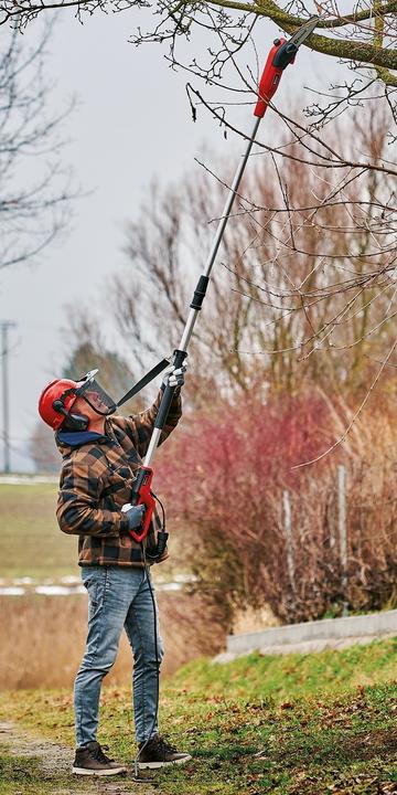 Actual product image Einhell GC-EC 7520 T Electric pole pruner (Electric chain saw)