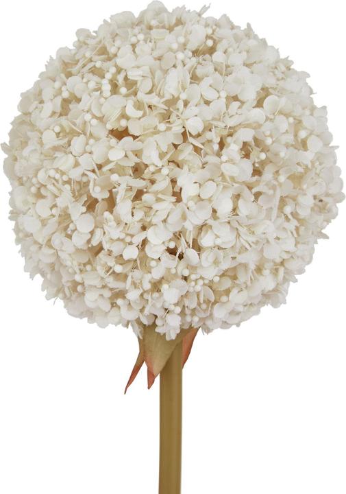 Produktbild Hill Interiors Kunstblume (56 cm)