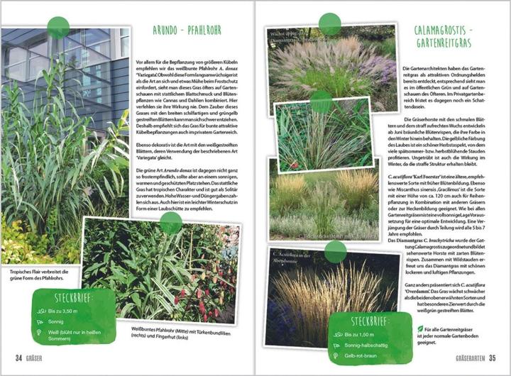 Produktbild MDR Garten - Gräser (Deutsch, Horst Schöne, 2018)