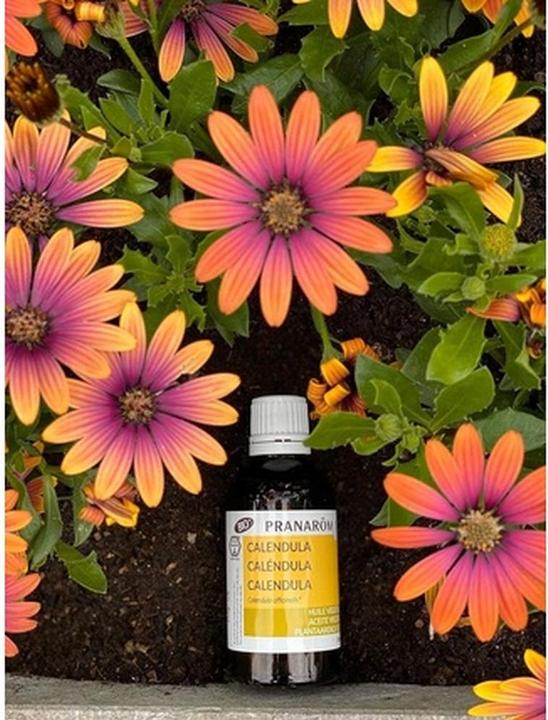Produktbild Pranarom Calendula Öl Bio 50 ml (50 ml)