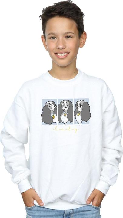Image du produit Disney - Sweat LADY AND THE TRAMP LADY FRAMES - Garçon (152, 158)