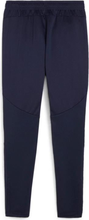 Puma FSS Training Pants (XL)