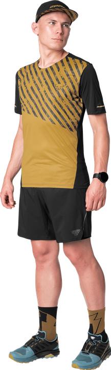Produktbild Dynafit Alpine Pro 2in1 Shorts (L)
