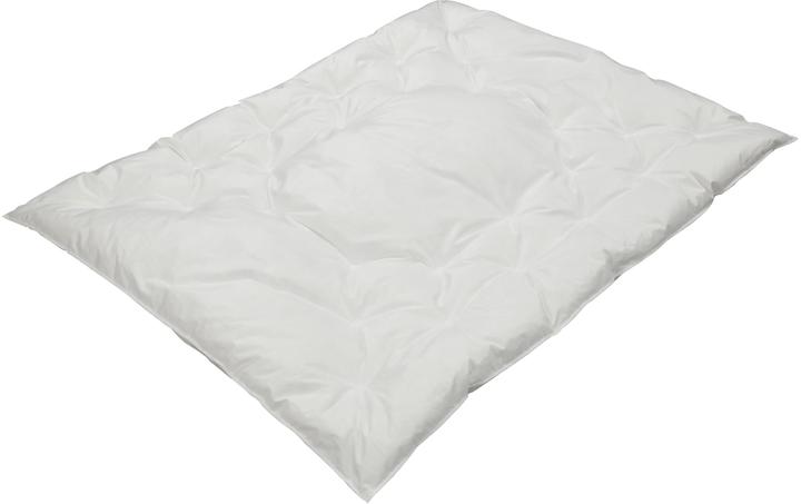 Image du produit Albis Duvet pour enfants Simba 100 x 135 cm, poids de remplissage 330 g