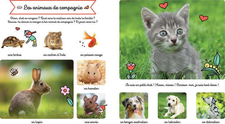 Image du produit Larousse jeunesse Le grand imagier des animaux à toucher (Français, Collectif, 2022)