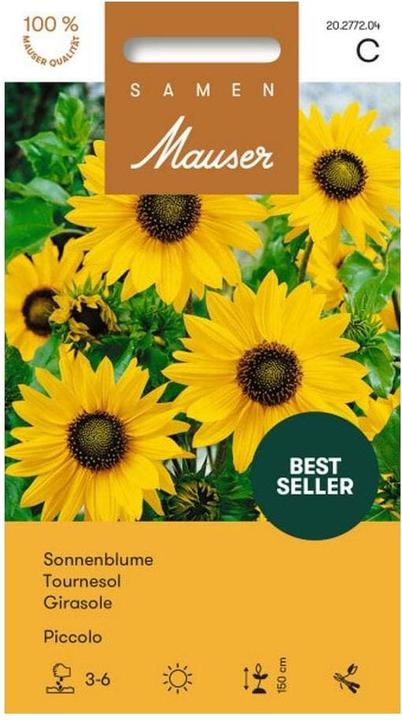 Samen Mauser Sunflower Piccolo (Plant seeds)