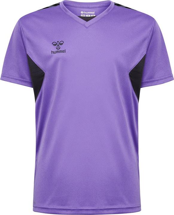 Produktbild hummel Hmlauthentic Pl Jersey S/S Kids (176)