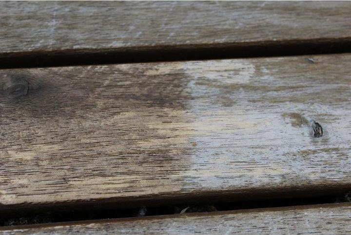 Produktbild Estalin Teakbaum Öl