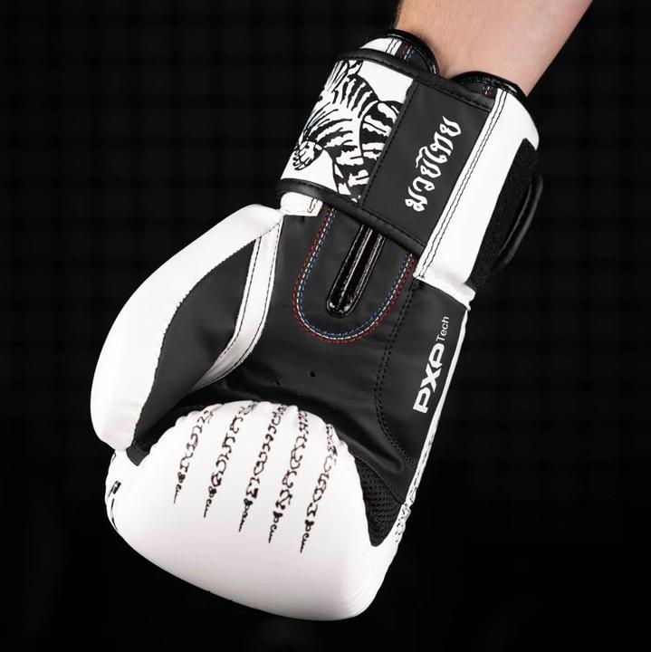 Actual product image Phantom Athletics Athletics Muay Thai Boxing Gloves 14oz (14 OZ, One size)