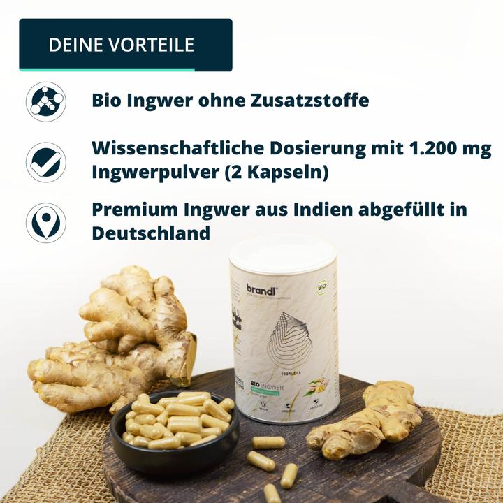 Actual product image Brandl Bio Ingwer (Ginger) (1 Piece, Capsules, 85 g)