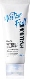 Produktbild Jumiso Waterfull Hyaluronic Cream 100ml (100 ml, Gesichtswasser)
