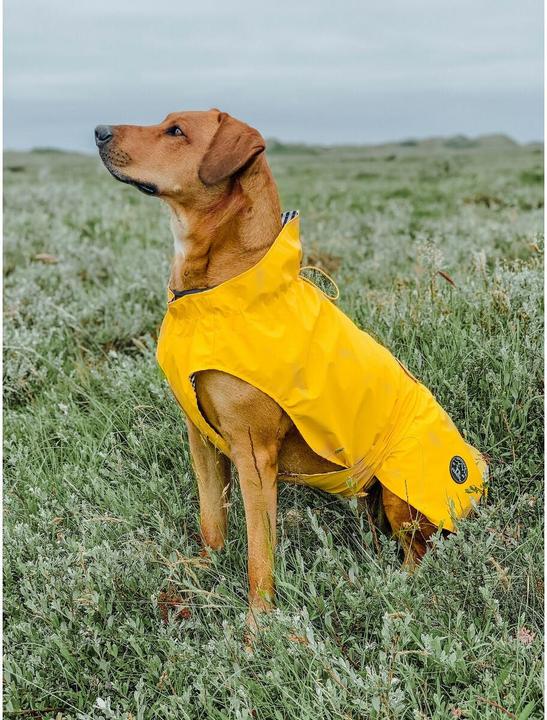 Immagine prodotto Hunter Impermeabile Milford (50, Cappotto impermeabile per cani)