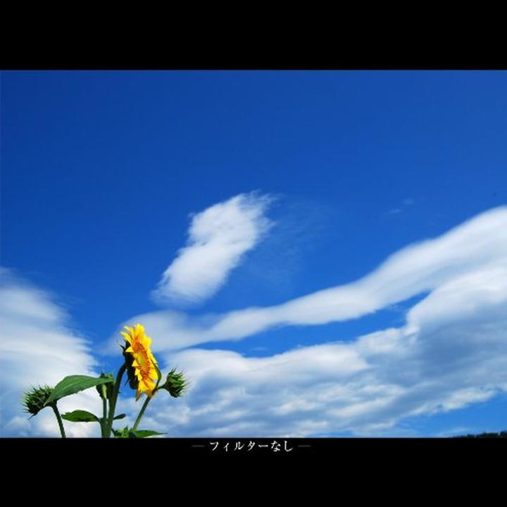 Image du produit Marumi Le moment, plus vivant. (52 mm, Filtre polarisant)