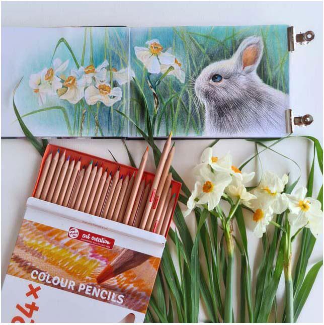 Image du produit Royal Talens Art Creation Crayons de couleur, ronds, étui de 24 pièces (Multicolore, 24 x)