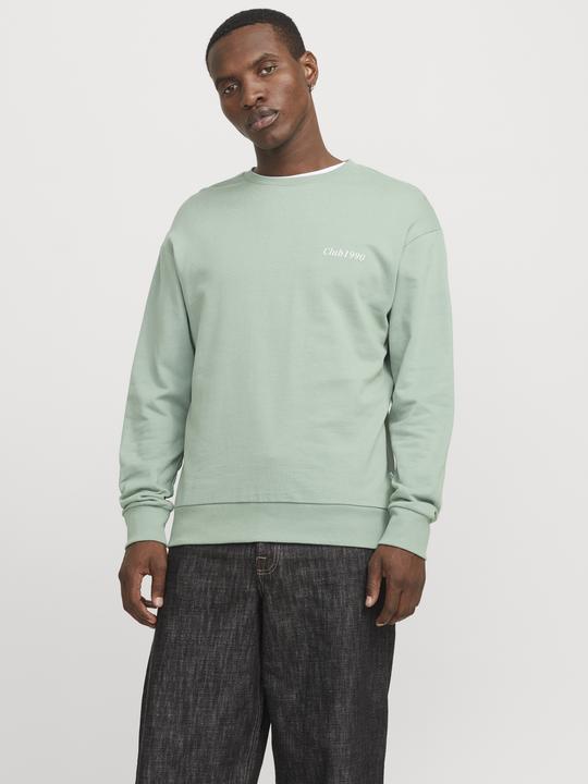 Actual product image Jack & Jones Jjebradley Graphic Sweat Crew Noos (XS)