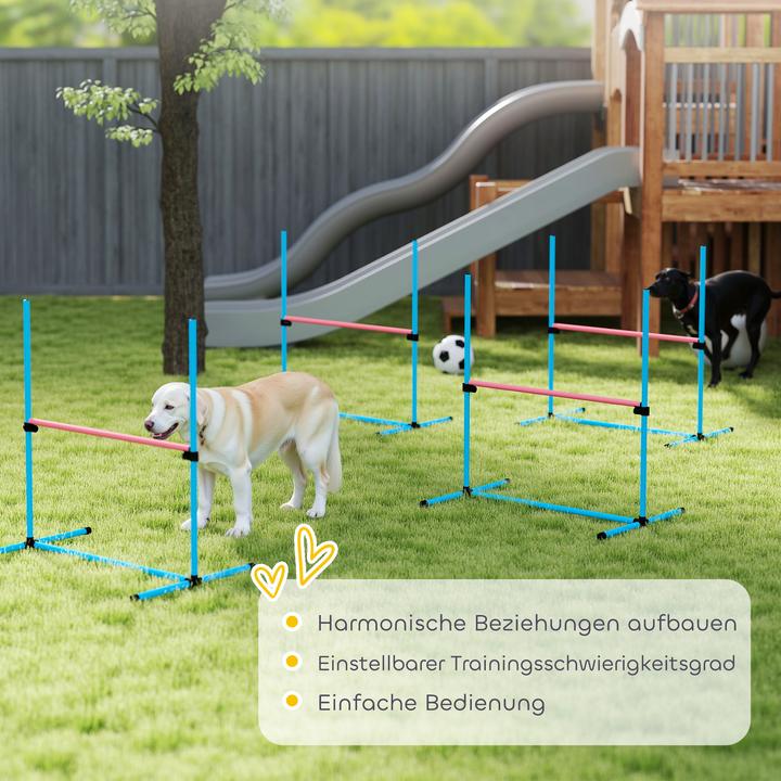 Produktbild PawHut Agility Set Hunde Kunststoff Hellblau (Agility)