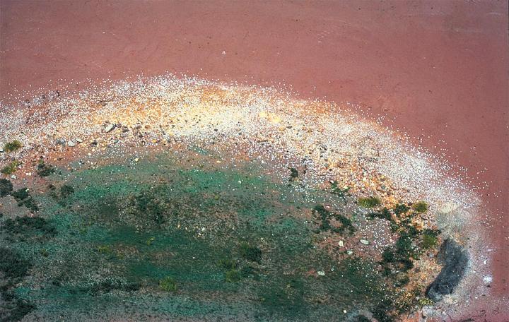 Image du produit Faller Feuille de mer