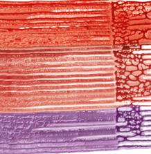 Produktbild Schwarzkopf Color Melter