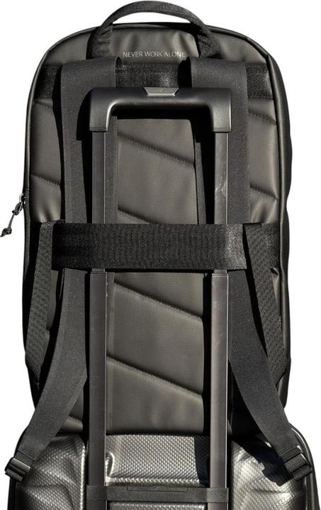 Produktbild Racoon Campus Backpack, Classic (21 l)