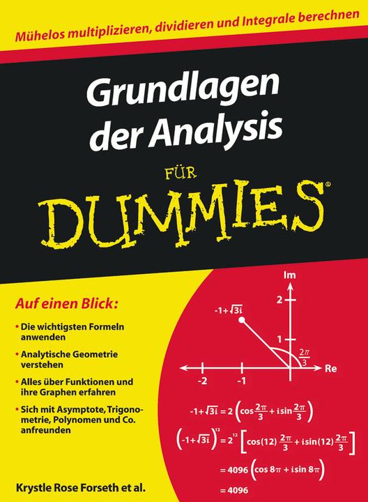 Produktbild Grundlagen der Analysis für Dummies (Deutsch, Deborah J. Rumsey, Judith Muhr, Krystle Rose Forseth, Mark Ryan, Michelle Rose Gilman, 2010)