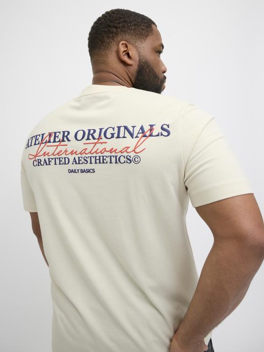 Produktbild Jack & Jones Jorislington Type Tee Ss Crew Neck Pls (XXL)