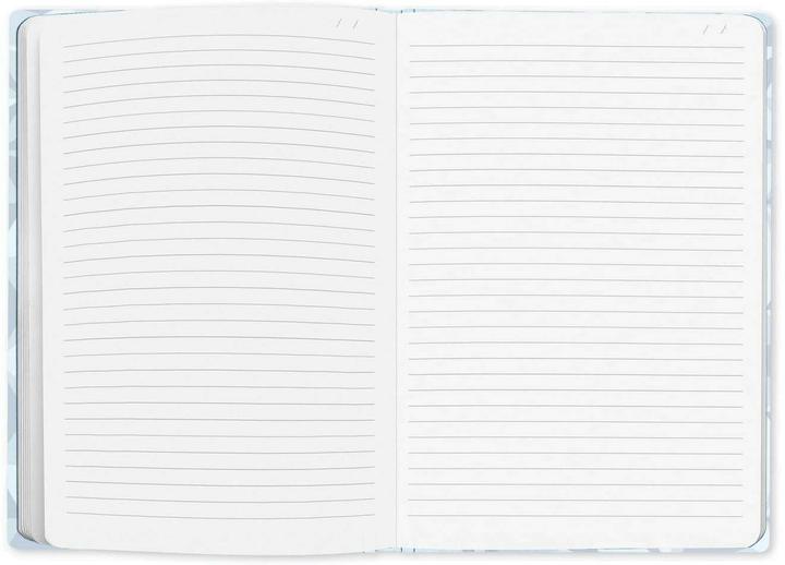 Immagine prodotto Caran d'Ache Notizbuch Alpine Frost Special Edition (A5, Righe, Copertina rigida)