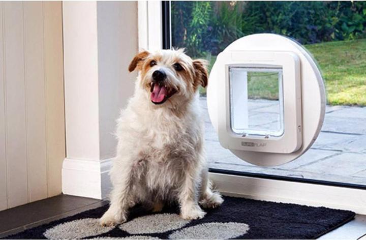 Actual product image SureFlap Pet flap microchip (Microchip Cat Flap)