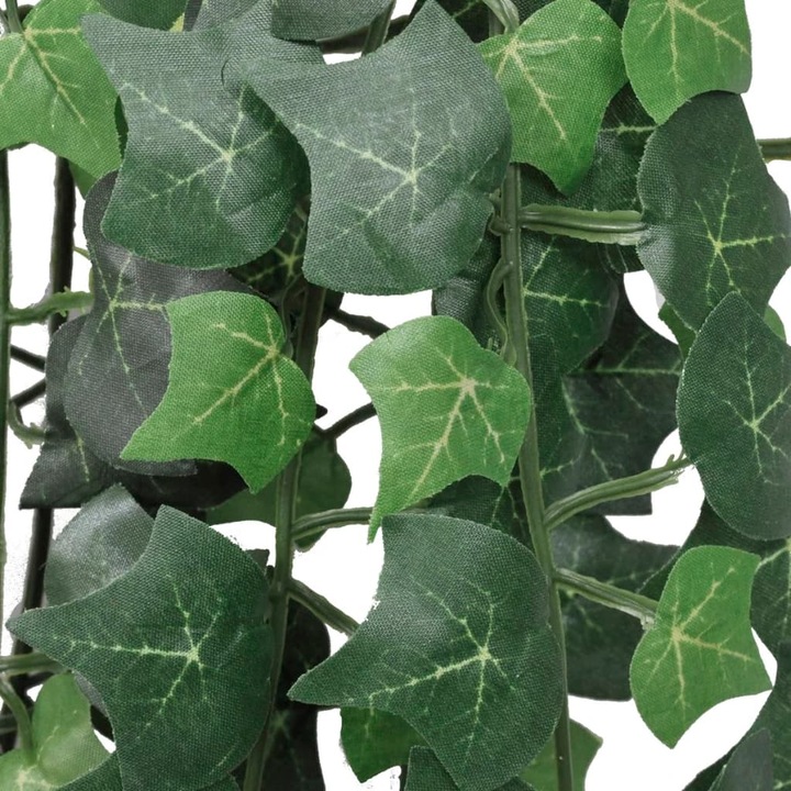Immagine prodotto VidaXL Efeu (90 cm)