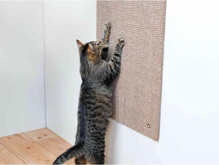Actual product image Trixie scratching board (Light brown)