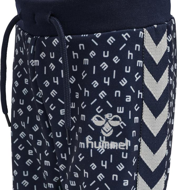 Actual product image hummel Troy Pants (56)