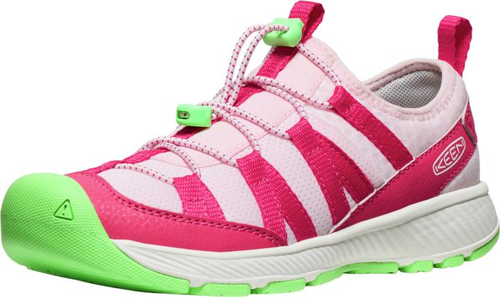 Raspberry, Summer Green