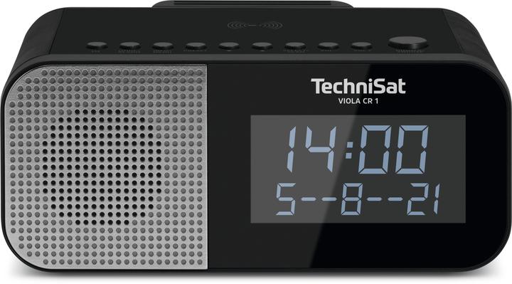 Actual product image TechniSat Viola CR1