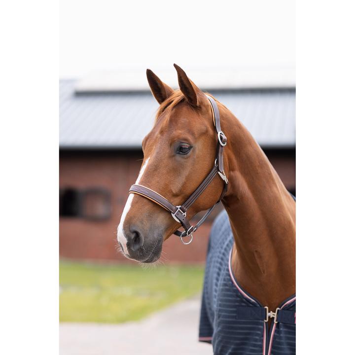 Produktbild Horze Pferdehalfter sophistication leather