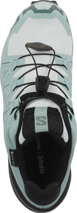 Actual product image Salomon Speedcross 6 GTX - 68435 (43 1/3)