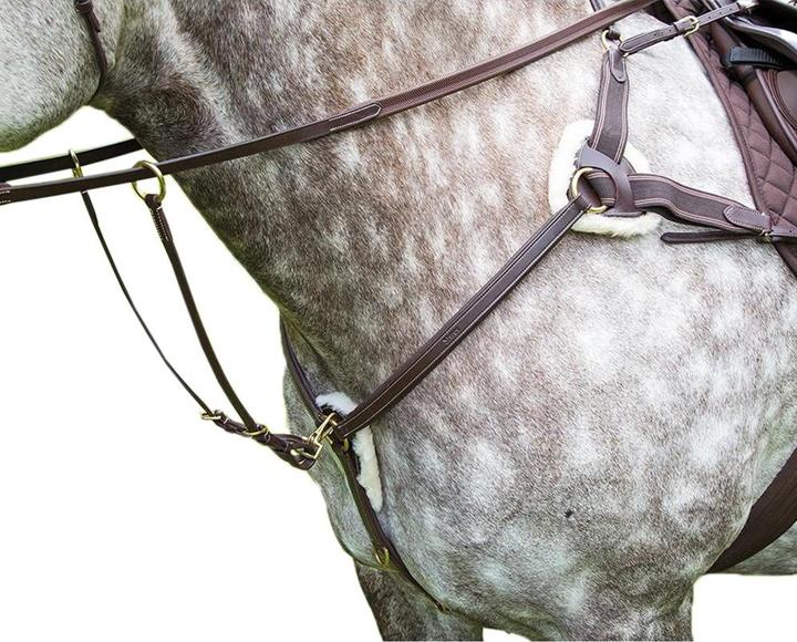 Actual product image Salisbury Leather chest harness