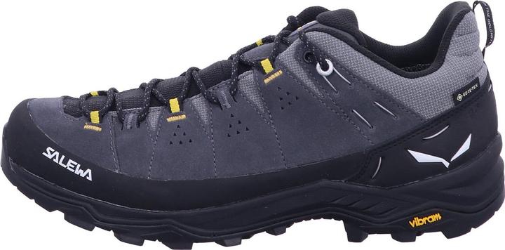 Produktbild Salewa Alp Trainer 2 GTX (45)